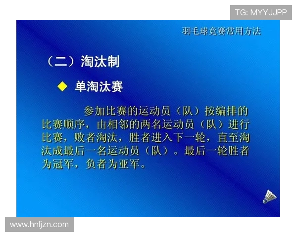 上海羽毛球队技术解析与训练方法探讨助力羽毛球运动发展